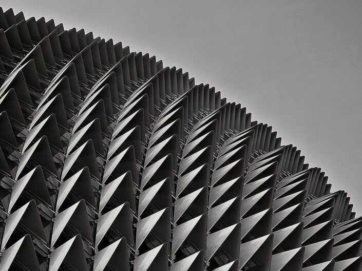 The Esplande-Singapore