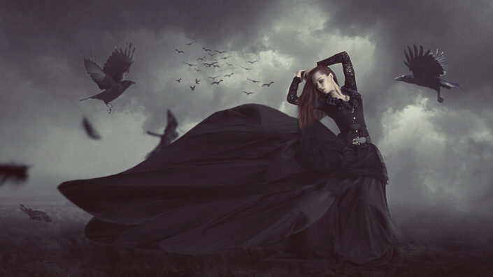 the crows surreal image